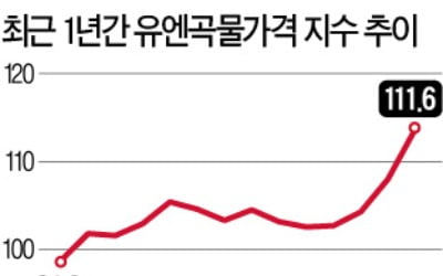 세계 곡물값 폭등…"기아 팬데믹, 코로나보다 두렵다"