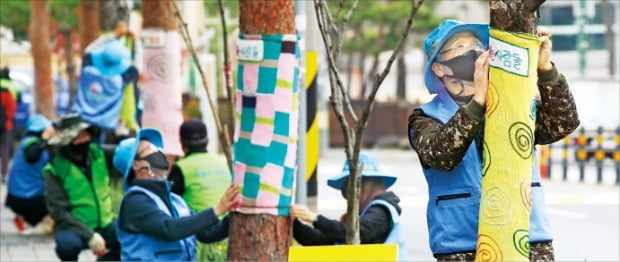 [포토] 수원시 “춥지마, 나무야” 