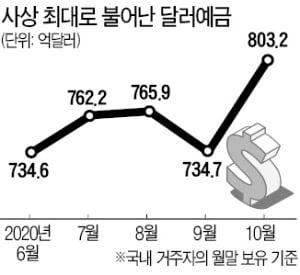 '쌀 때 더 사놨다가 환차익 노려볼까'…달러예금 800억弗 첫 돌파