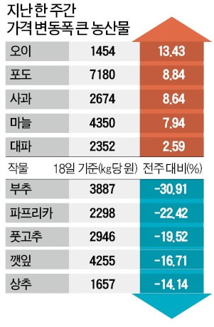 생산 늘어난 부추·파프리카, 두자릿수 하락