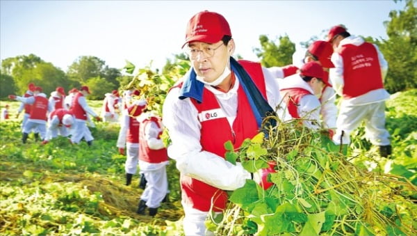 신학철 LG화학 부회장과 임직원들이 서울 밤섬 생태계 보호를 위해 생태계 교란 식물을 제거하고 있다.  LG화학 제공
 