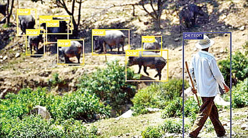 한국축산데이터는 AI 기반 야생 멧돼지 추적 솔루션 ‘팜스캅스’도 개발했다.  한국축산데이터 제공 