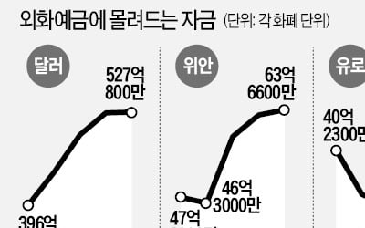 "쌀 때 사자"…외화예금 사상 최대