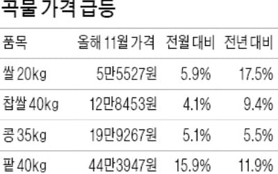 곡물 가격 일제히 상승…불안한 밥상물가