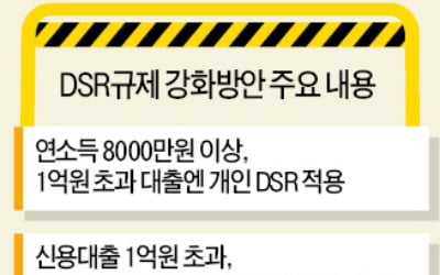 "DSR 규제 前 막차 타자"…은행창구 '북새통'