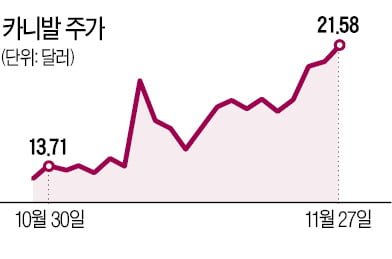 '델·카·옥' 드디어 반등…잠 설치던 서학개미 탈출 기회 ?