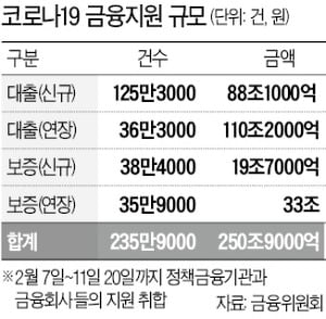 코로나 금융지원 250兆 돌파…부실 방지 '고심'