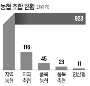 [단독] "신선 농산물 2시간 내 배송…농협, 쿠팡 따라잡겠다" 