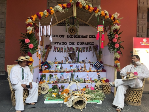 9만명의 영혼을 위한 꽃길…코로나19 속 멕시코 '망자의 날'