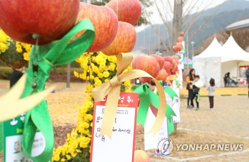 홍천사과축제 온라인 개막…15일까지 열려