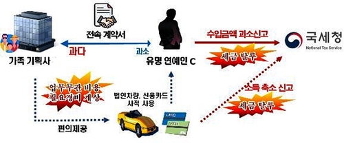 '회사차' 슈퍼카 굴린 사주…가족기획사로 탈세한 유명 연예인