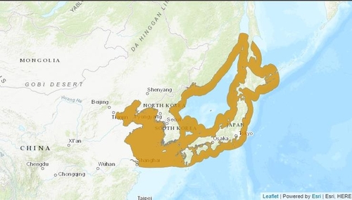 멸종위기종 '해삼' 러시아서 밀렵꾼들 불법 포획에 몸살