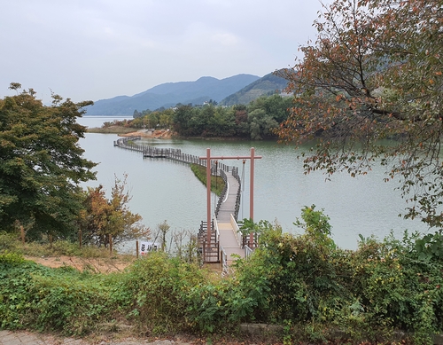 "대청호 절경 한눈에" 청주 문산길·피미숲길 연내 완공