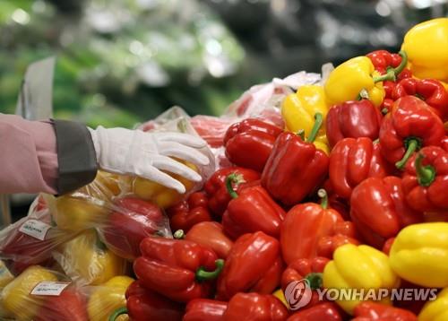 전북산 파프리카 1.7t 중국 첫 수출