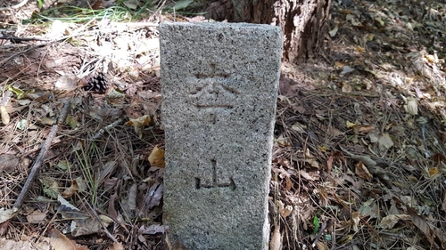 조선 왕실 땅 나타내는 '이산 표석' 부산 장산서 79개 추가 발견