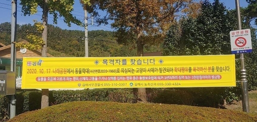 산책하던 진돗개가 길고양이 물어 죽여…"견주 처벌 어려워"