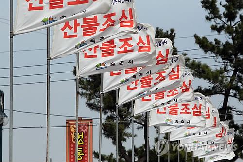 건조한 날씨에 강풍까지…강원 영동 산불 비상