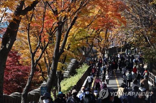 '늦가을 정취 만끽'…쌀쌀한 날씨속 전국 유명산·관광지 '북적'