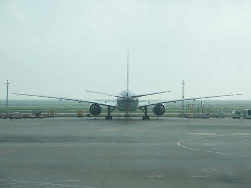 中상하이 공항 노동자 코로나 확진…"수입박람회와 무관"(종합)