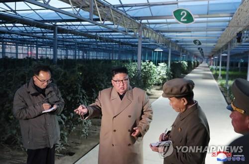 북한, 건조한 날씨에 산불방지 '안간힘'…감시·순찰 강화