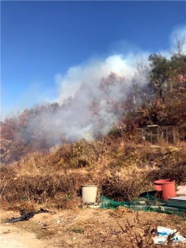 안동시 농산 폐기물 태우다 산불 낸 2명 입건