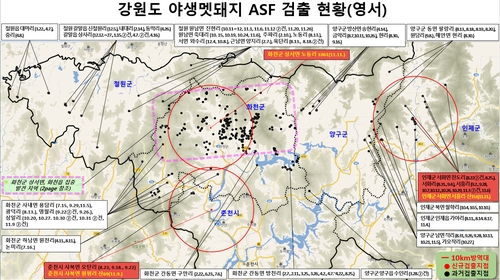 "남으로 남으로" ASF 감염 멧돼지 폐사체 최남단 춘천서 발견