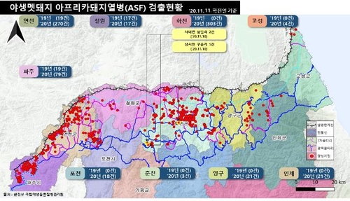 화천군 등서 야생멧돼지 아프리카돼지열병 9건 발생…총 791건