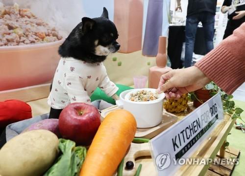 미 코로나19로 반려동물 증가…월마트 종합서비스 개시