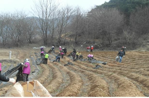 폐비닐·폐농약용기 등 영농폐기물 하반기 집중 수거