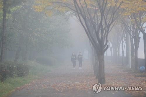 대구·경북 오전에 안개…미세먼지 '일시 나쁨'