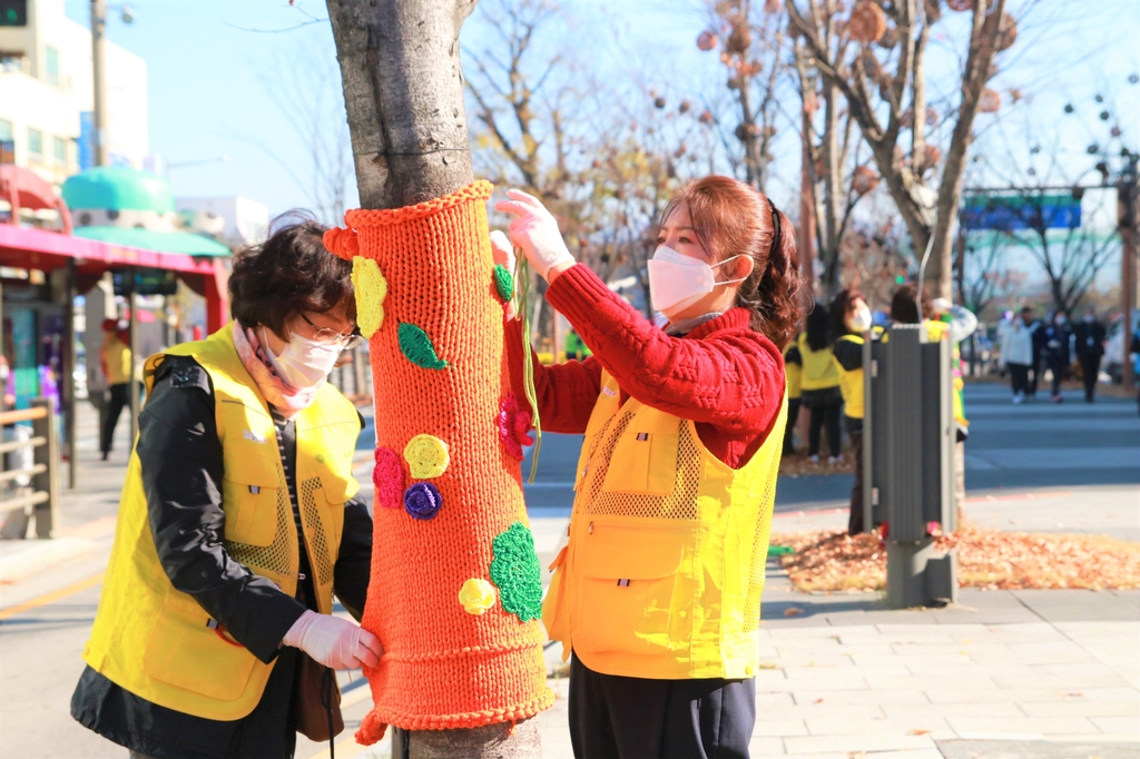 [픽! 전주] 나무야, 털옷 입고 올 겨울 따뜻하게 지내렴