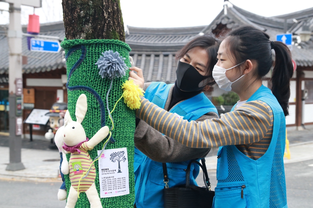 [픽! 전주] 나무야, 털옷 입고 올 겨울 따뜻하게 지내렴