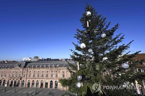 "크리스마스트리도 생필품"…프랑스, 봉쇄령 속에도 판매 허용