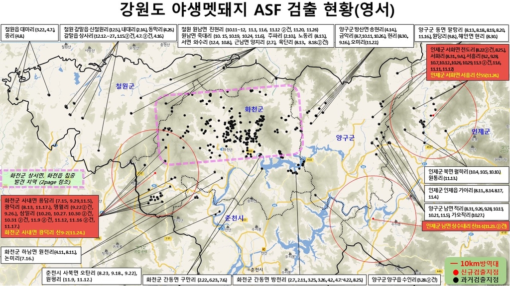 ASF 감염 멧돼지 폐사체 인제 최남단서 발견…강원 누적 406건