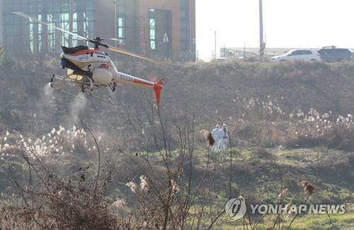 경남 김해 해반천 인근서 AI 항원 검출…고병원성 확인중