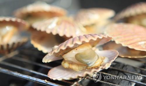 경남 고성 '가리비' 군인 입맛 사로잡는다…군납 처음 출하