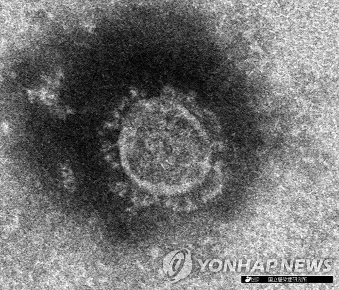 일본 코로나 신규 확진 400명대로 `뚝`…홋카이도는 최다 확진 기록