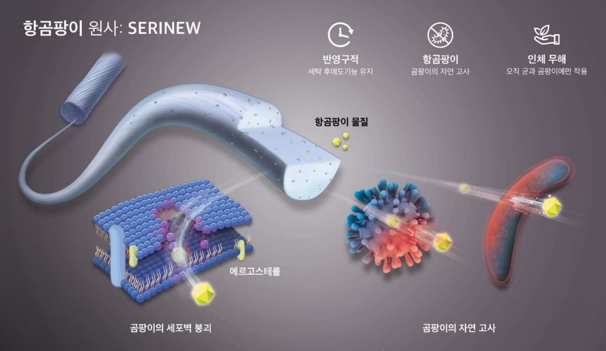 (주)일송글로벌, 항균항·곰팡이성 물질 관련 특허 5건 획득