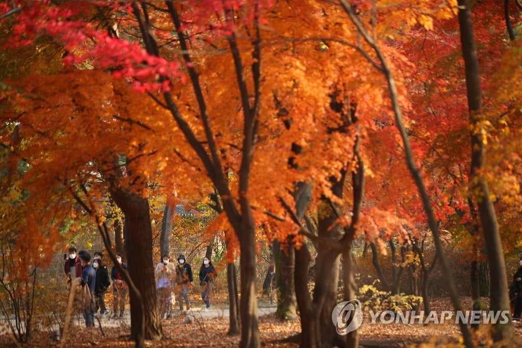 내일 아침기온 전국 5도 이하…일교차 15도 내외