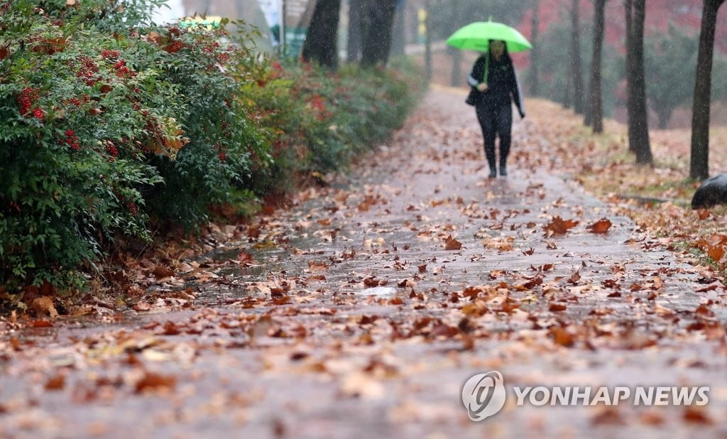 [날씨] 첫눈 대신 비 내리는 `소설`…오후부터 기온 뚝