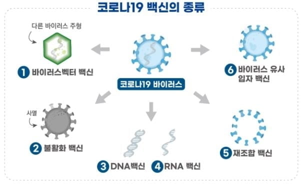 국내 코로나19 백신 임상 1상·치료제 2상 식약처 승인