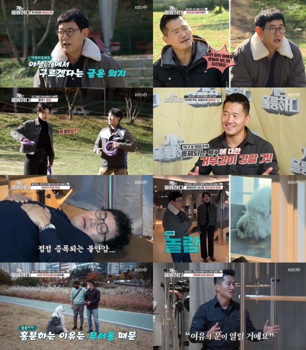 23일 방송된 '개훌륭'/ 사진=KBS2 제공