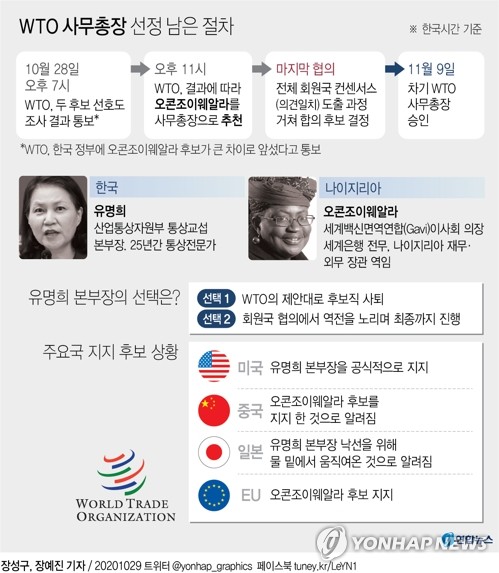 미국은 계속 뛰자는데 국제사회 비난 부담…정부, WTO선거 고민