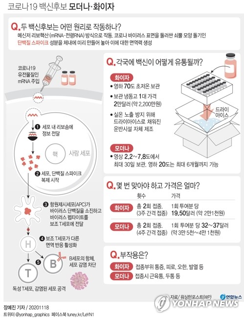 모더나 이어 화이자도 "백신 95% 면역효과"…긴급사용 신청 계획(종합2보)