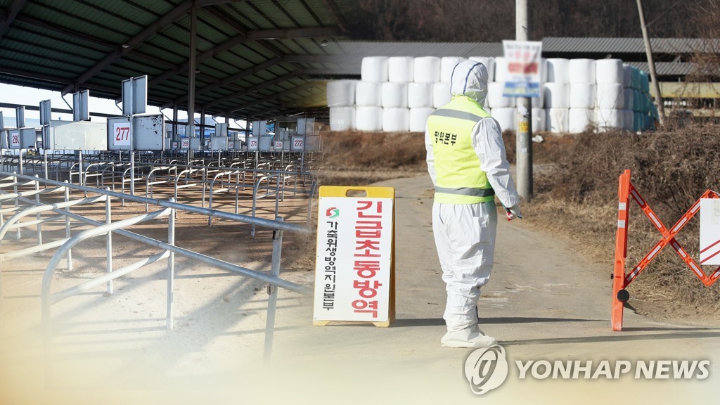 한국형 구제역 백신 시제품 첫 생산…"부작용 개선"