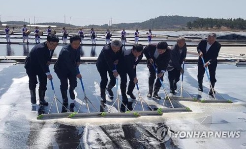 전남 천일염, 게랑드보다 마그네슘·칼륨 함량 많고 침전물 적어