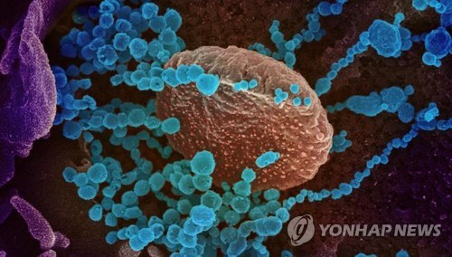 제주도, 집중 관리 대상 감염병 7종 선정 발표…코로나19 추가