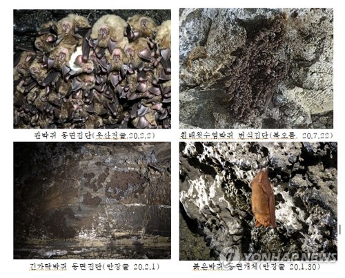 세계자연유산 '용천동굴' 화학비료 질산 오염 지하수 유입 확인
