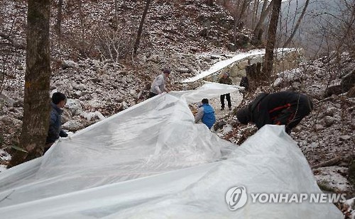 지하수 관정 뚫고 노후관 교체로 '콸콸'…인제 산촌 식수난 해결