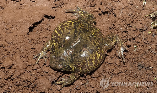 인천 남촌산업단지 '친환경 조성' 발표에도 지역사회 반발 여전